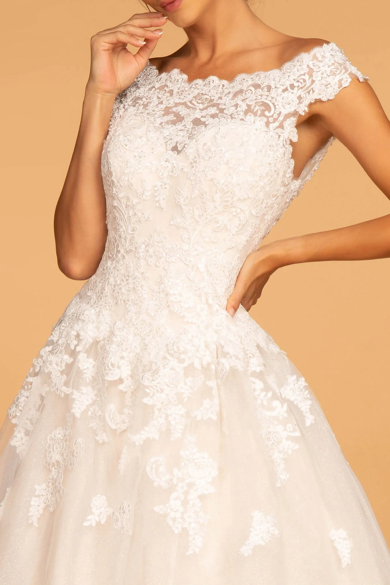 Boat-Neck Embroidered Mesh A-Line Wedding Gown GLGL2596