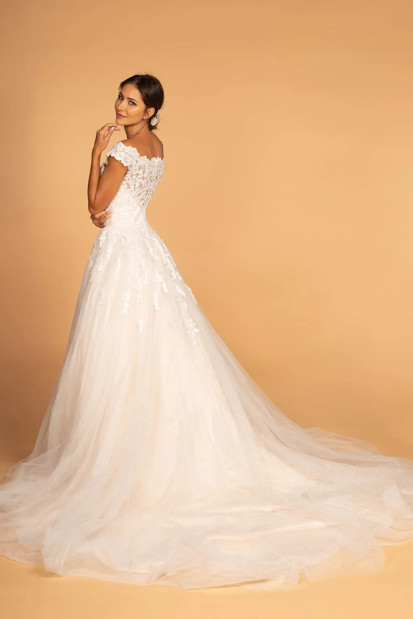 Boat-Neck Embroidered Mesh A-Line Wedding Gown GLGL2596