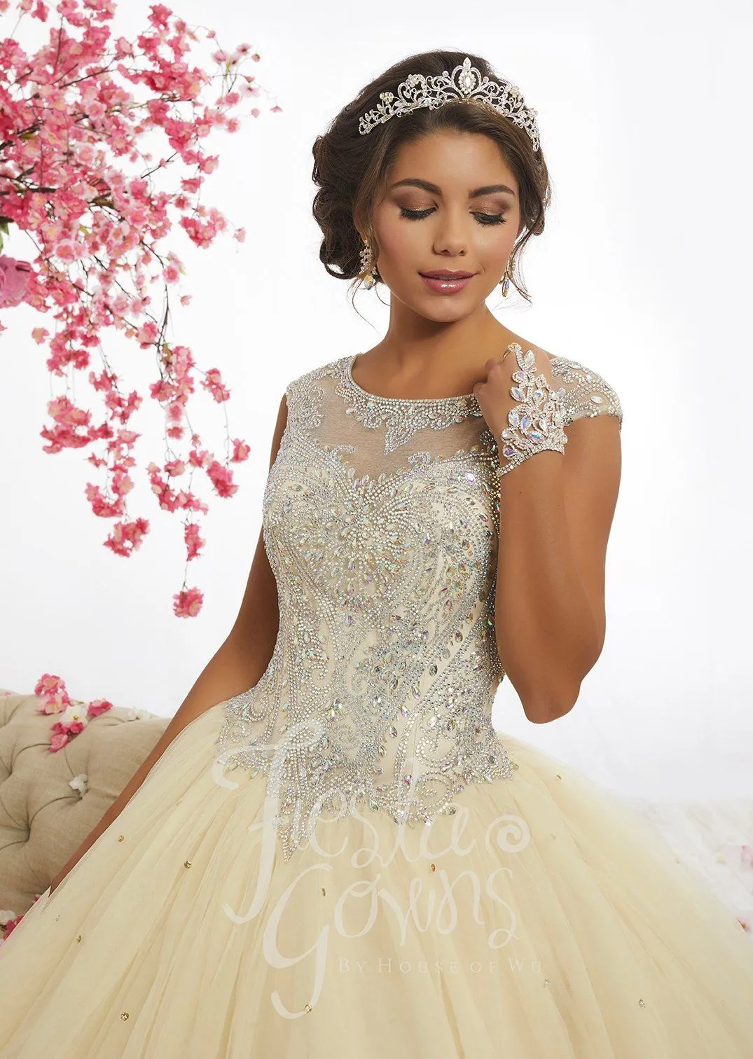 Cap Sleeve A-Line Quinceanera Dress by Fiesta Gowns 56338